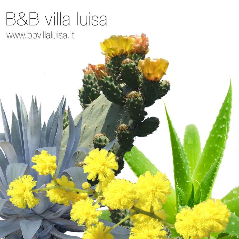 B&B Villa Luisa Casarza Ligure Eksteriør bilde
